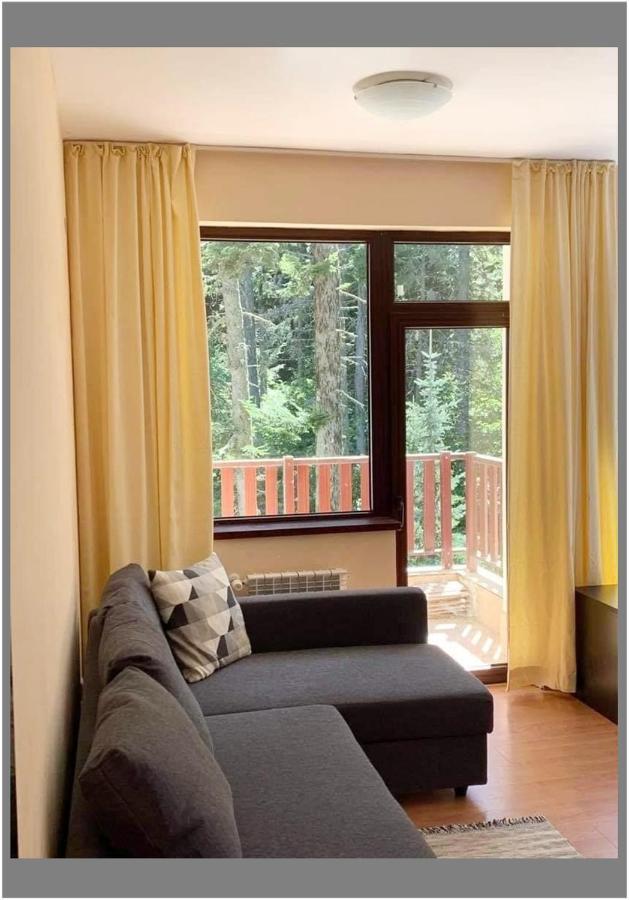 בורובץ Flora Ski-Slope Studio Apartment מראה חיצוני תמונה