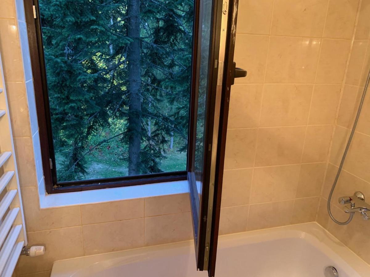בורובץ Flora Ski-Slope Studio Apartment מראה חיצוני תמונה